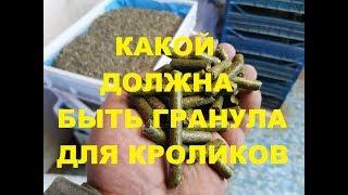 Какой все-таки должна быть гранула для кроликов?