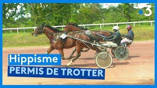 Sarthe  Hippisme  permis de trotter