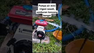 Pompa air mini irigasi sawah semburan kenceng banget  #pompaairmini #pompaairsawah