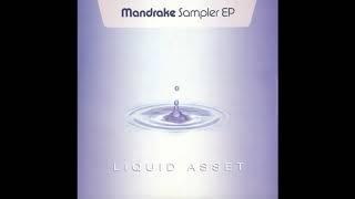 Mandrake - Universal Soul The Digital Blonde Remix 2003