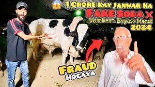 King Of Asia Ka Fake Soda Hogaya  Biggest Bull In Karachi Mandi  Northern Bypass Mandi