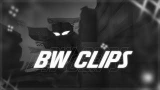 BW CLIPS  VimeWorld