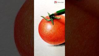 Tamatar Color Pencil drawing Tomato #shorts #tomato #tamatar #coloredpencils