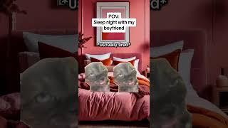 CAT MEMES Sleep night with my boyfriend #catmemes #relatable #relationship #shorts