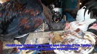 Fenomena Penjualan Ayam Kampung di Pasar Tradisional