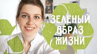 Экология полезные привычки zero waste минимализм