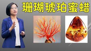 什么是珊瑚？琥珀和蜜蜡有什么区别？