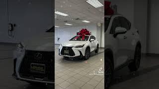 Christmas Vacation with Lexus NX  Lexus Stevens Creek