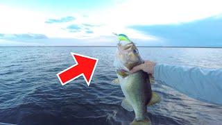 Offshore Bass CRANKIN FLURRY Stick Marsh