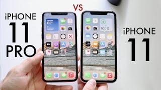 iPhone 11 Vs iPhone 11 Pro In 2022 Comparison Review