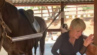 Saddle Fit Lecture with Karen Loshbaugh Shammy