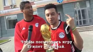 Что футбольные болельщики из Египта думают о России