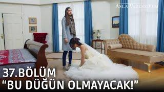 Bu düğün olmayacak  Asla Vazgeçmem 37.Bölüm