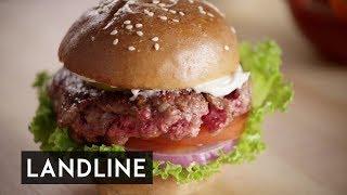 Fake Meat the growth in popularity of artificial meat