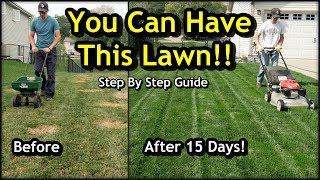 Fix an Ugly Lawn with Overseeding  Complete Step by Step Guide For Beginners