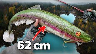 Casting  a 62 cm  12 kg Swimbait for River Beasts... 