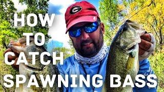 How to Fish the Bass Spawn - Amazing Details about Bass Fishing