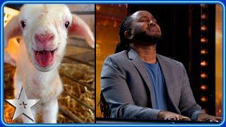 Simon Cowells DOGS perform in Kevon Carters HILARIOUS audition  Auditions  BGT 2024