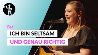 Fast eine Sonatenhauptsatzform  Fee  Poetry Slam TV