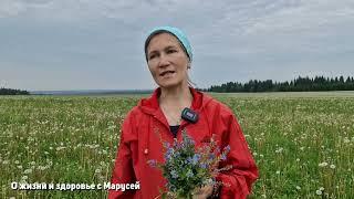 СИЛЬНАЯ ТРАВА ОТ МНОЖЕСТВО НЕДУГ ПОД НОГАМИ У ВАС ЗДОРОВЬЕ ОТ ПРИРОДЫ@natureMarusya