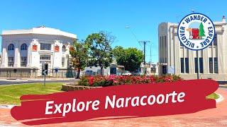 ️ Explore Naracoorte South Australia  Things to do in and around Naracoorte