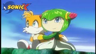 Sonic X  Ship Sailed? Tails and Cosmo Have a Heart to Heart