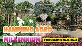 ADA KEBUN DI ATAS MALL - KAMPOENG AGRO MELLINNEAL