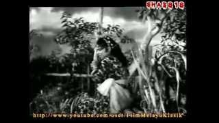 Lanchang Kuning 1962  Full Movie