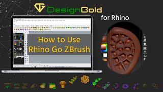 How to use Rhino Go ZBrush----Very useful tool