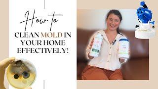 How to Clean Home After Mold Damage Best Mold Cleaning Products