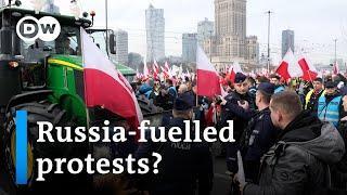 Polish farmers demand an end to Ukrainian food imports I DW News