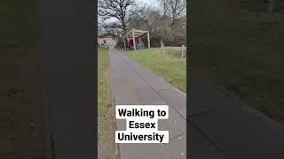 walking to my University for the test #moveabroad #movingtotheuk #colchester #uk #tesco #england #ai
