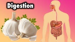 Amazing Ways to Improve Your Digestion Naturally