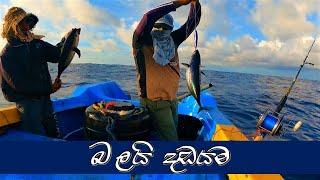 මහ මුහුදේ බලමාලු ඇල්ලීම  skipjack tuna fishing  @wishwatiyubaya 