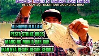 Mancing tawes besar  Mancing lalawak besar  Mancing di sungai cisokan