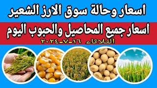 اسعار الارز الشعير اليوم اسعار الارز الابيض ومخلفات الارز واسعار الذرة والصويا اليوم