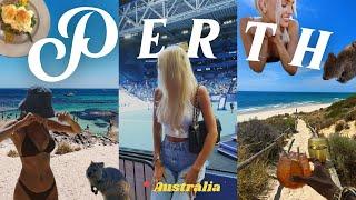 PERTH united cup rottnest island + quokkas summer in australia diaries ️