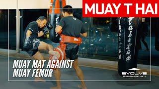 Muay Thai Training Series Muay Mat  Muay Mat Against Muay Femur