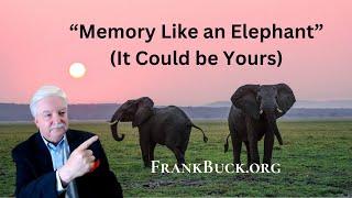 Memory Like an Elephant  How to Take Notes About the People in Your Life