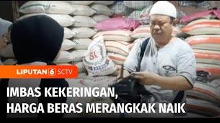 Kemarau Panjang Harga Beras Merangkak Naik  Liputan 6