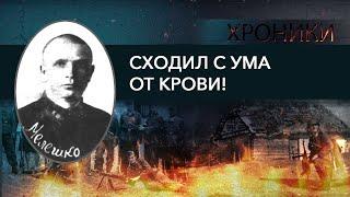 МЕЛЕШКО История кровавого убийцы  Кто сжёг Хатынь?  ХРОНИКИ