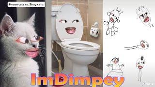 Try Not To Laugh Challenge Funny ImDimpey TikTok Videos of 2022. All Of ImDimpey Videos.