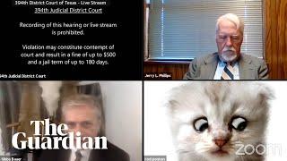 I’m not a cat lawyer gets stuck on Zoom kitten filter during court case