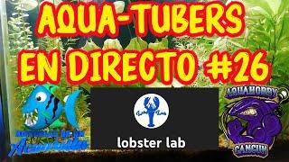 Platicando con el canal Lobster Lab