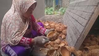 Cara pengolahan kelapa menjadi kopra asalan