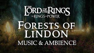 Lord of the Rings  Elven Realm of Lindon Music & Ambience Rings of Power with ASMR Weekly