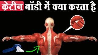 30 दिन क्रेटीन लेने से बॉडी मे क्या होगा  What Happens to Your Body On Creatine?