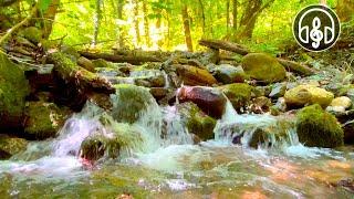Sound Of A Mountain Stream. 12 Hours Of Nature Sound For Deep Sleep Study Relaxation.