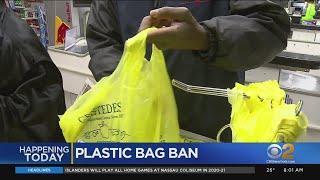 New Yorkers Adjusting To First Day Of Plastic Bag Ban