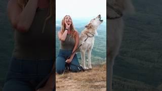 GIRL HOWLS WITH HUGE WHITE WOLF #wolf #wolfhowl #thewhitewolf #arcticwolf